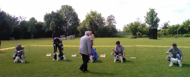 img2312.jpg
