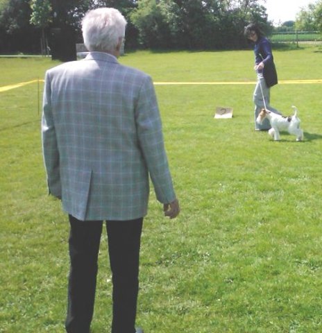 img2373.jpg