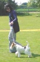 img237a3.jpg