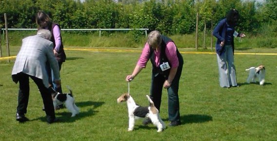 img2423.jpg