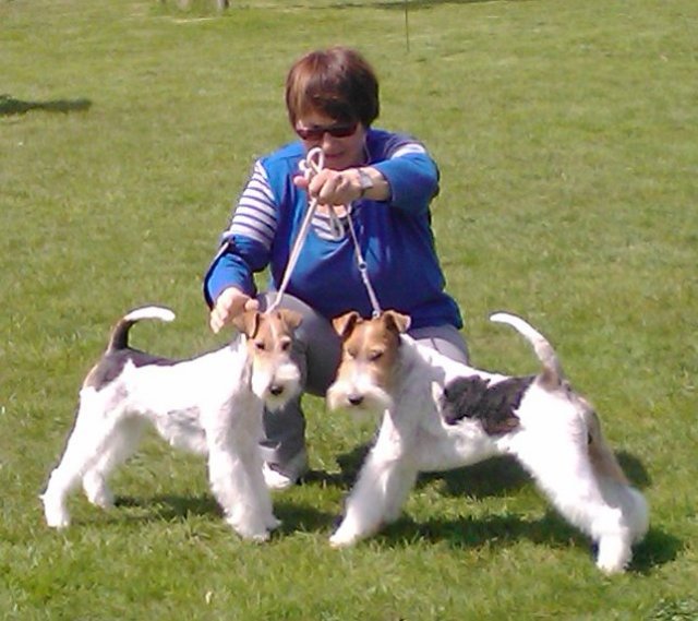img2493.jpg